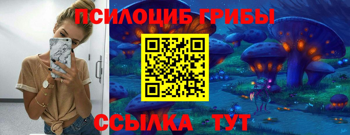 Ялуторовск  Псилоцибиновые грибы Cubensis  Вход с VPN 